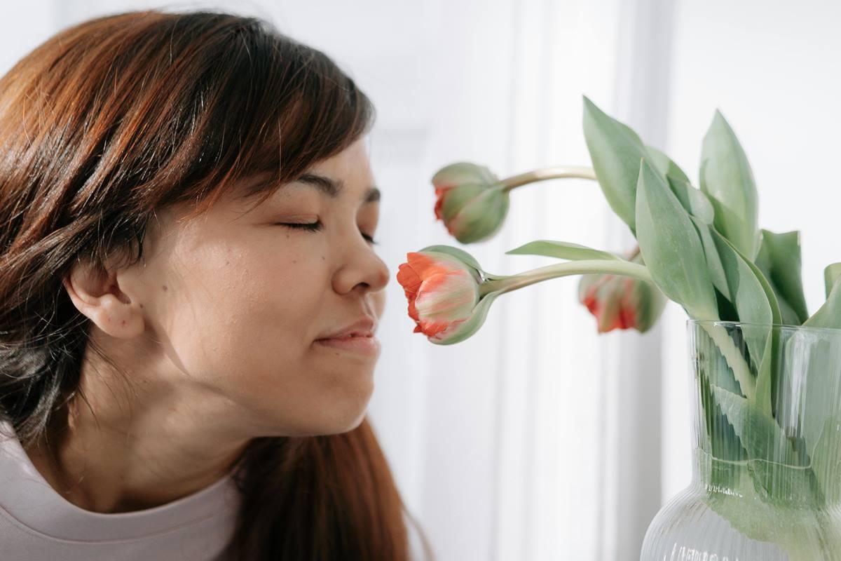 Como o perfume floral da lavanda pode melhorar seu bem-estar diário