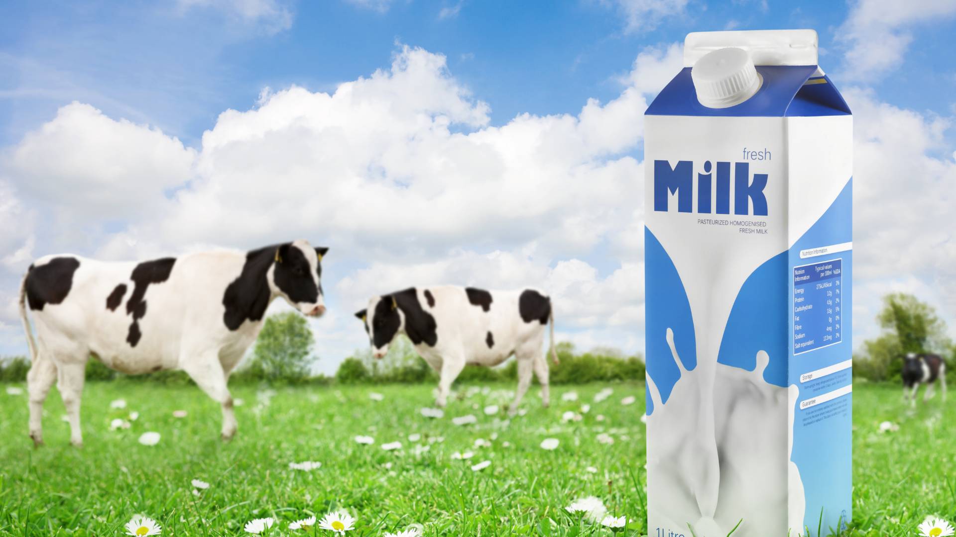 Diferença Entre Alergia ao Leite de Vaca e Intolerância à Lactose