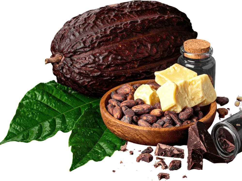 Qual a melhor manteiga de cacau para os lábios?